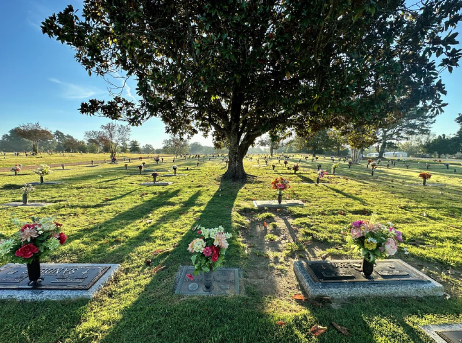Slide 1 of cemetery gallery