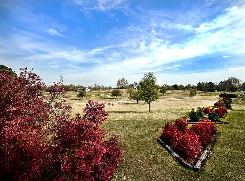 Thumbnail of slide 7